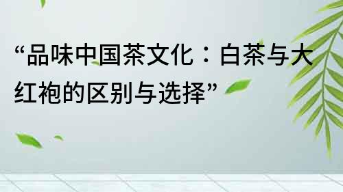 “品味中國茶文化：白茶與大紅袍的區別與選擇”