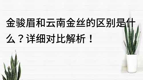 金駿眉和云南金絲的區別是什么？詳細對比解析！