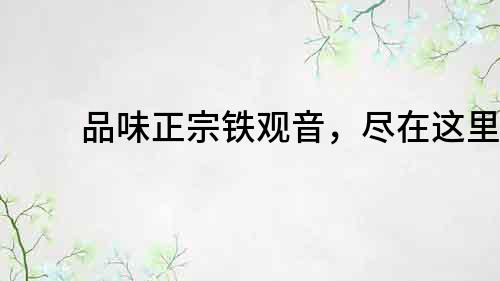 品味正宗鐵觀音，盡在這里！