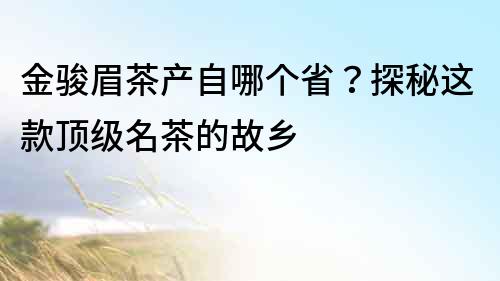 金駿眉茶產(chǎn)自哪個省？探秘這款頂級名茶的故鄉(xiāng)