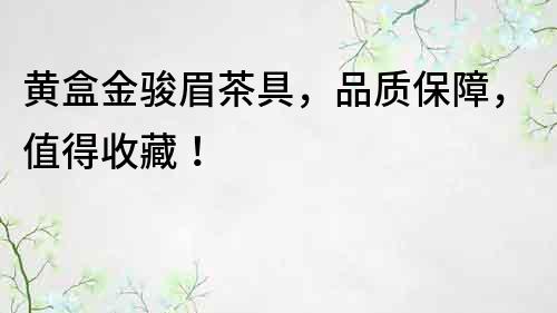 黃盒金駿眉茶具，品質(zhì)保障，值得收藏！