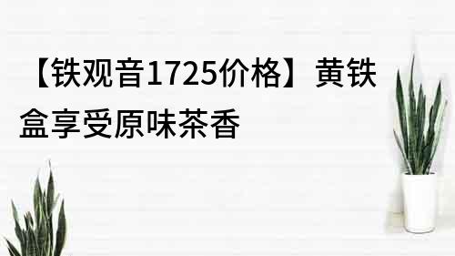【鐵觀音1725價(jià)格】黃鐵盒享受原味茶香