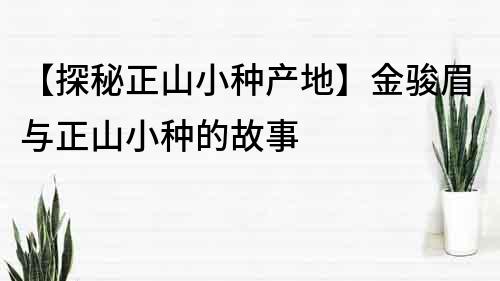 【探秘正山小種產地】金駿眉與正山小種的故事
