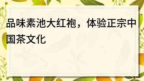 品味素池大紅袍，體驗正宗中國茶文化
