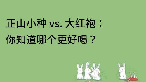 正山小種 vs. 大紅袍：你知道哪個更好喝？