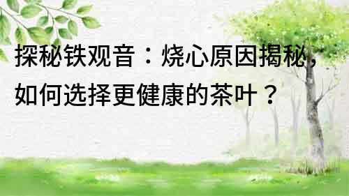 探秘鐵觀音：燒心原因揭秘，如何選擇更健康的茶葉？