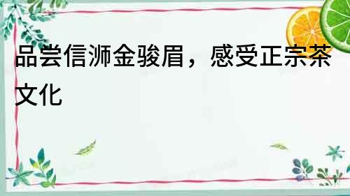 品嘗信浉金駿眉，感受正宗茶文化