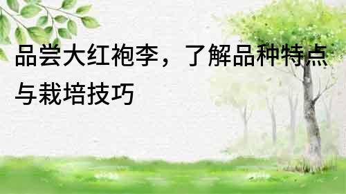 品嘗大紅袍李，了解品種特點與栽培技巧