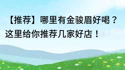 【推薦】哪里有金駿眉好喝？這里給你推薦幾家好店！