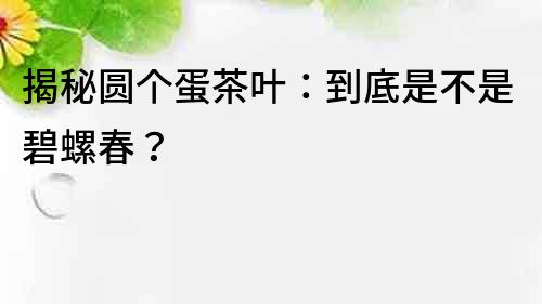 揭秘圓個蛋茶葉：到底是不是碧螺春？