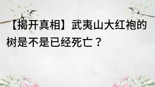 【揭開真相】武夷山大紅袍的樹是不是已經(jīng)死亡？