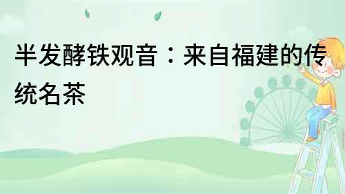 半發酵鐵觀音：來自福建的傳統名茶