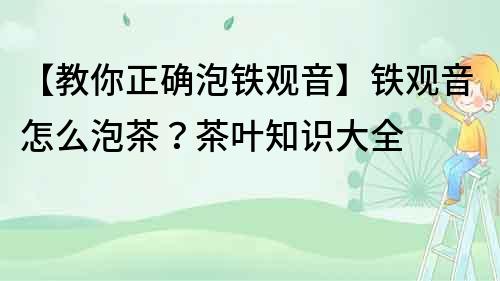 【教你正確泡鐵觀音】鐵觀音怎么泡茶？茶葉知識大全