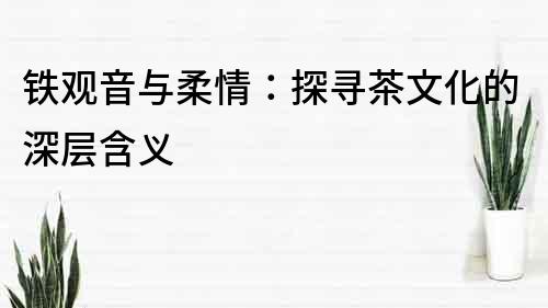 鐵觀音與柔情：探尋茶文化的深層含義