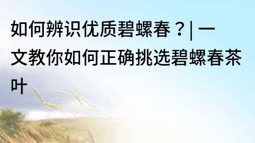 如何辨識優質碧螺春？| 一文教你如何正確挑選碧螺春茶葉