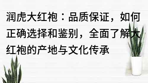 潤虎大紅袍：品質保證，如何正確選擇和鑒別，全面了解大紅袍的產地與文化傳承