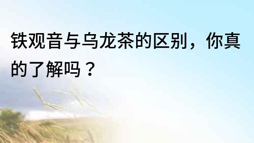 鐵觀音與烏龍茶的區別，你真的了解嗎？