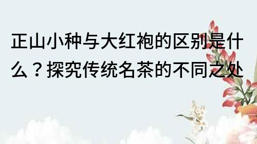 正山小種與大紅袍的區別是什么？探究傳統名茶的不同之處