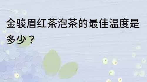 金駿眉紅茶泡茶的最佳溫度是多少？
