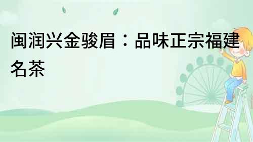 閩潤興金駿眉：品味正宗福建名茶
