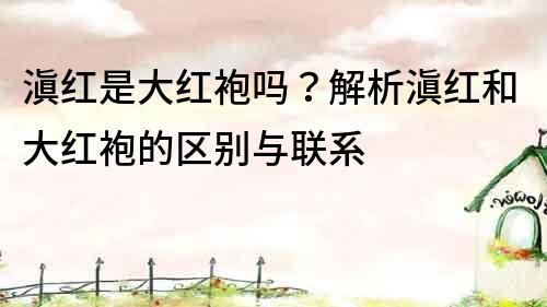 滇紅是大紅袍嗎？解析滇紅和大紅袍的區(qū)別與聯(lián)系