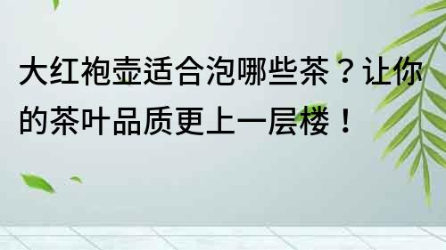 大紅袍壺適合泡哪些茶？讓你的茶葉品質更上一層樓！