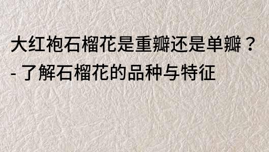 大紅袍石榴花是重瓣還是單瓣？- 了解石榴花的品種與特征