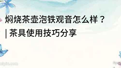 燜燒茶壺泡鐵觀音怎么樣？ | 茶具使用技巧分享