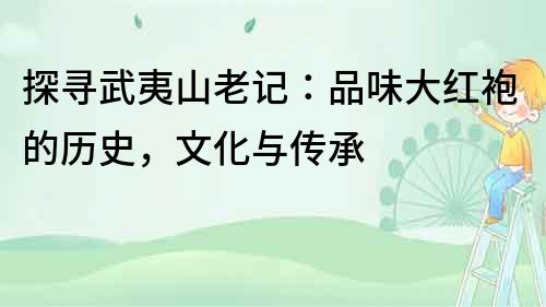 探尋武夷山老記：品味大紅袍的歷史，文化與傳承