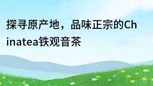 探尋原產地，品味正宗的Chinatea鐵觀音茶