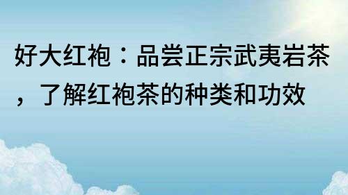 好大紅袍：品嘗正宗武夷巖茶，了解紅袍茶的種類和功效
