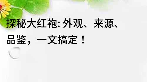 探秘大紅袍: 外觀、來源、品鑒，一文搞定！