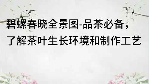 碧螺春曉全景圖-品茶必備，了解茶葉生長環境和制作工藝