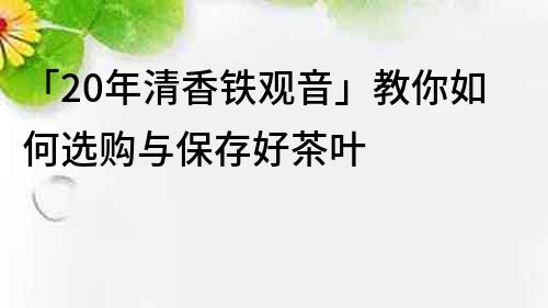 「20年清香鐵觀音」教你如何選購與保存好茶葉