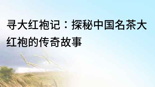 尋大紅袍記：探秘中國名茶大紅袍的傳奇故事
