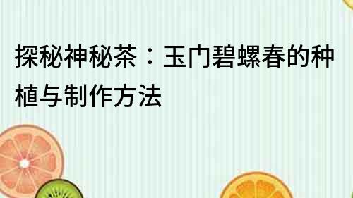 探秘神秘茶：玉門碧螺春的種植與制作方法