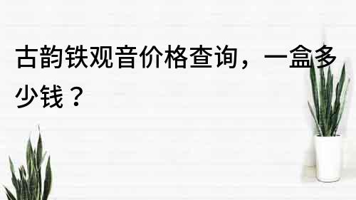 古韻鐵觀音價格查詢，一盒多少錢？