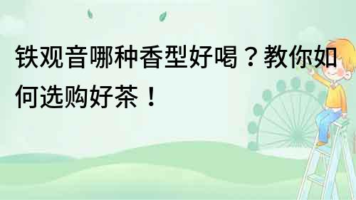 鐵觀音哪種香型好喝？教你如何選購好茶！