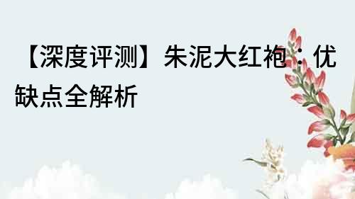 【深度評(píng)測】朱泥大紅袍：優(yōu)缺點(diǎn)全解析