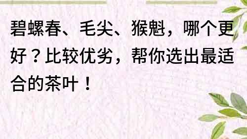 碧螺春、毛尖、猴魁，哪個更好？比較優(yōu)劣，幫你選出最適合的茶葉！