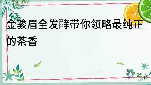 金駿眉全發酵帶你領略最純正的茶香