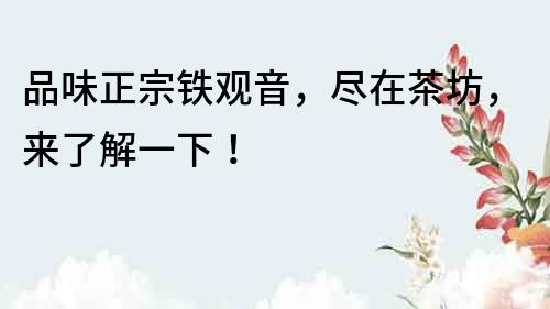 品味正宗鐵觀音，盡在茶坊，來了解一下！