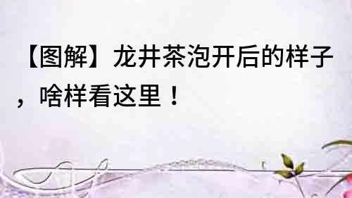 【圖解】龍井茶泡開后的樣子，啥樣看這里！
