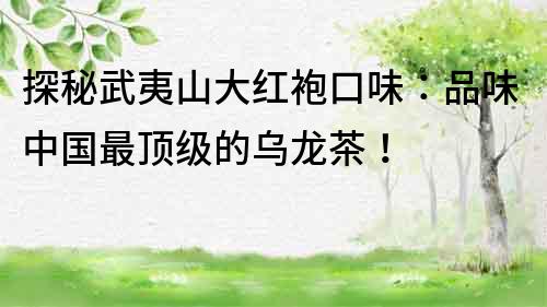 探秘武夷山大紅袍口味：品味中國最頂級的烏龍茶！
