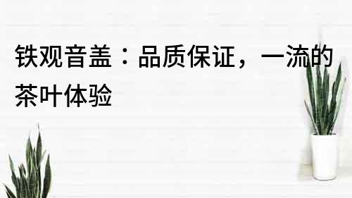 鐵觀音蓋：品質保證，一流的茶葉體驗