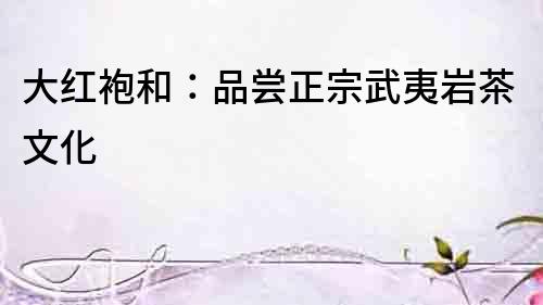 大紅袍和：品嘗正宗武夷巖茶文化