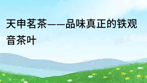 天申茗茶——品味真正的鐵觀音茶葉