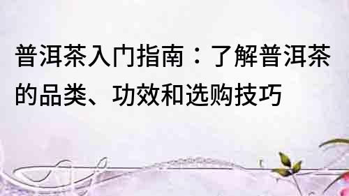 普洱茶入門指南：了解普洱茶的品類、功效和選購技巧