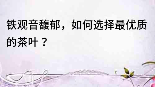 鐵觀音馥郁，如何選擇最優質的茶葉？