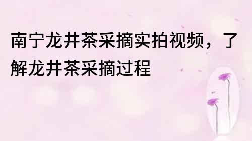 南寧龍井茶采摘實拍視頻，了解龍井茶采摘過程